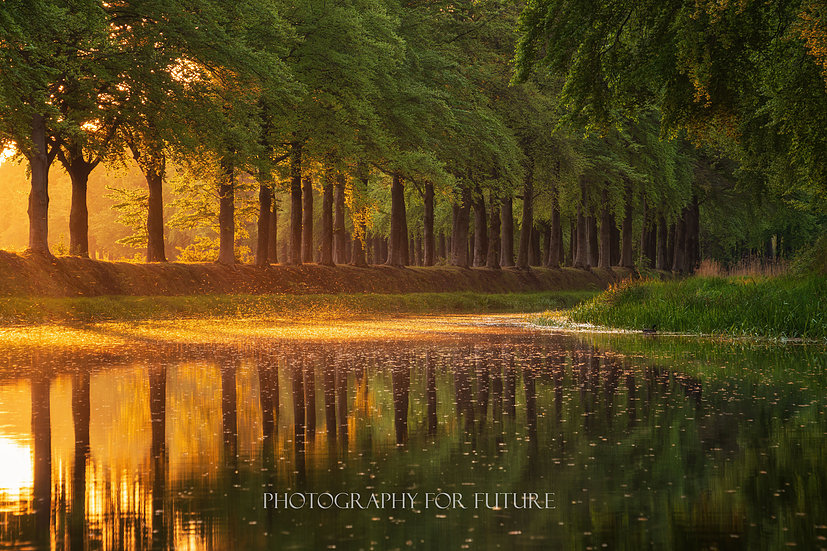 Photography for Future