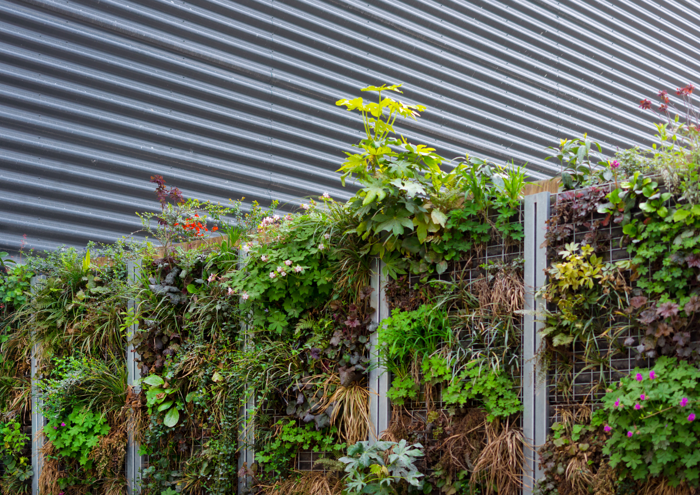 Il giardino verticale
