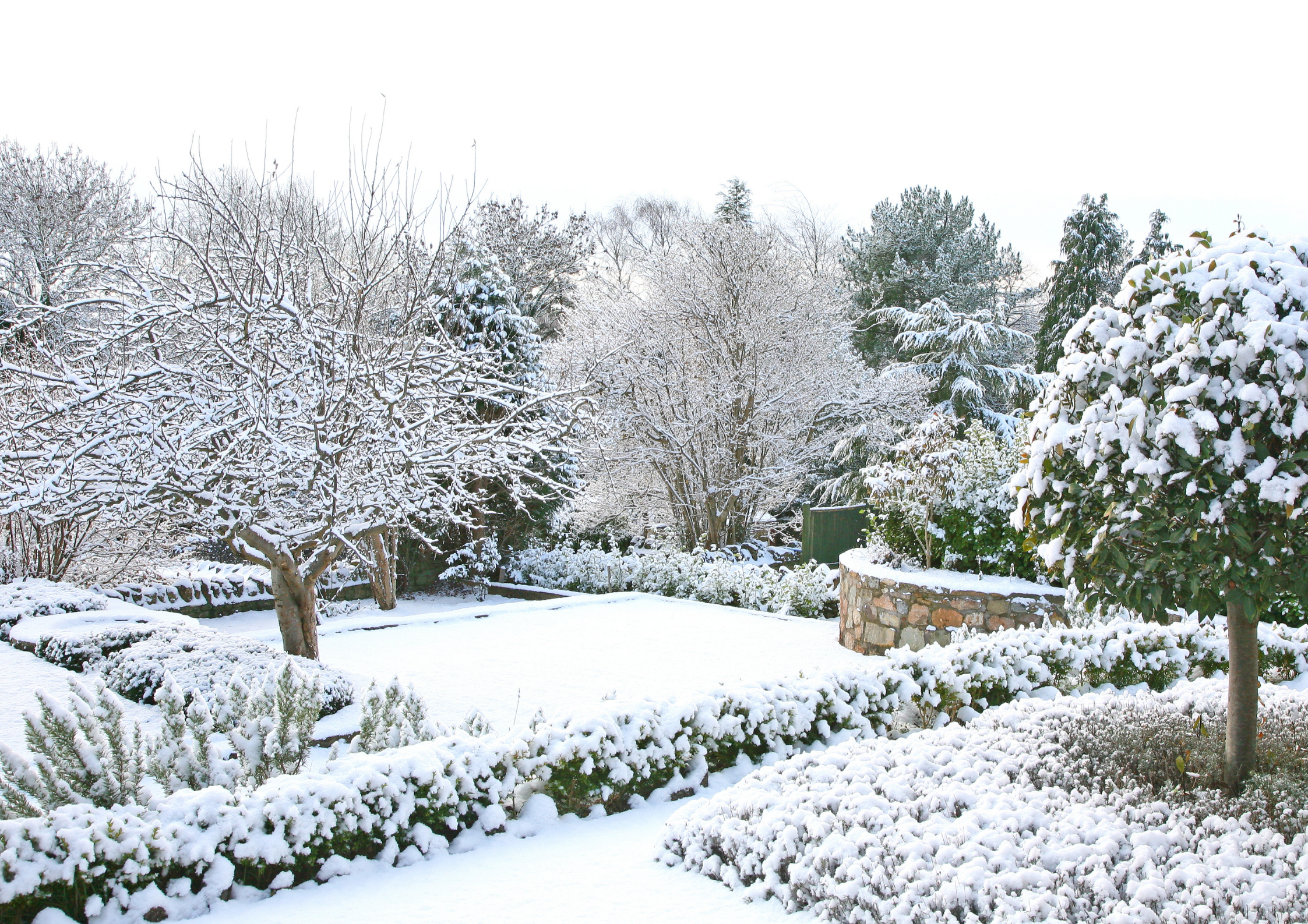 Colori in giardino d’inverno