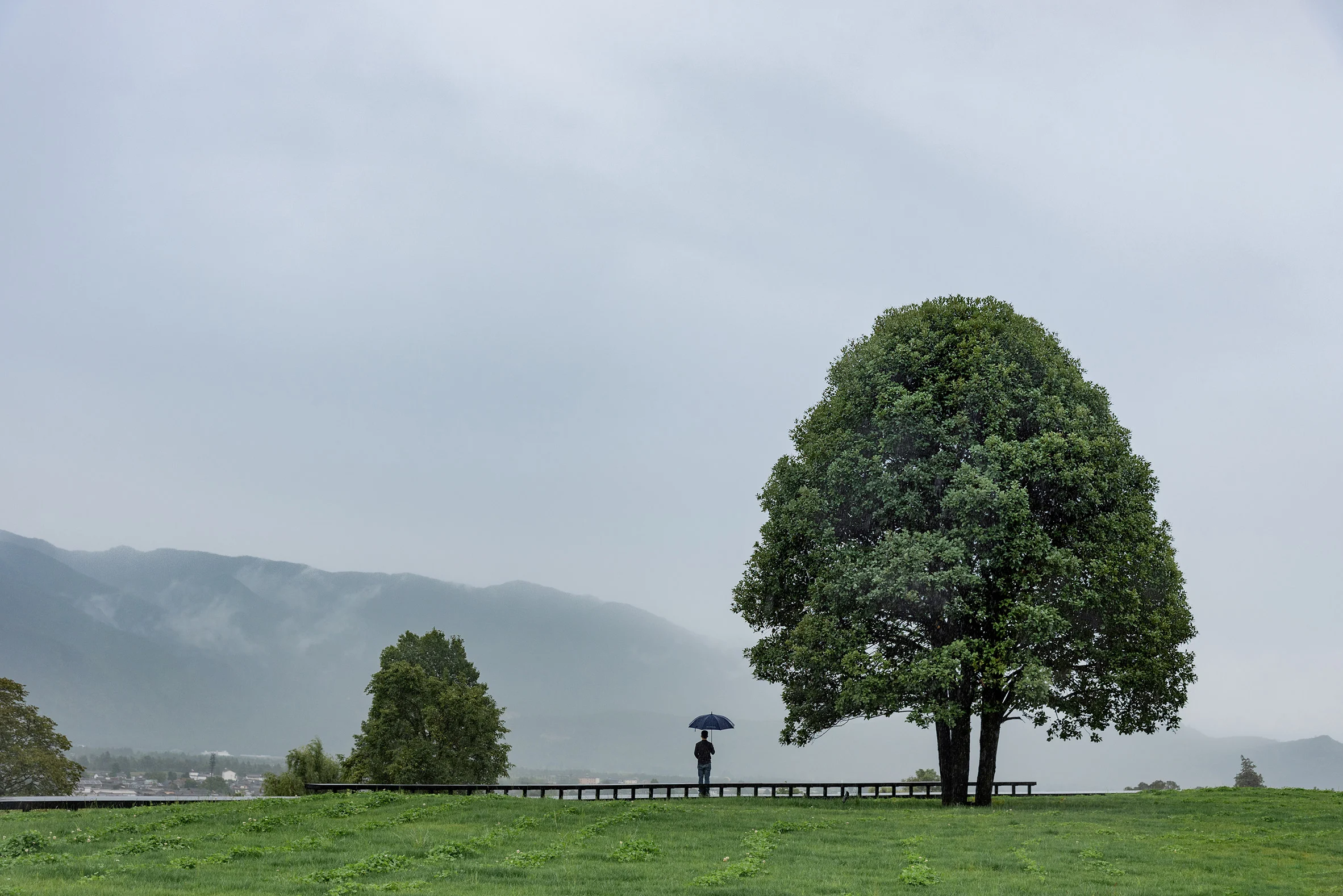 zscape-hylla-alpine-garden-china-landscape-and-urbanism_dezeen_2364_col_16 zscape-hylla-alpine-garden-china-landscape-and-urbanism_dezeen_2364_col_16