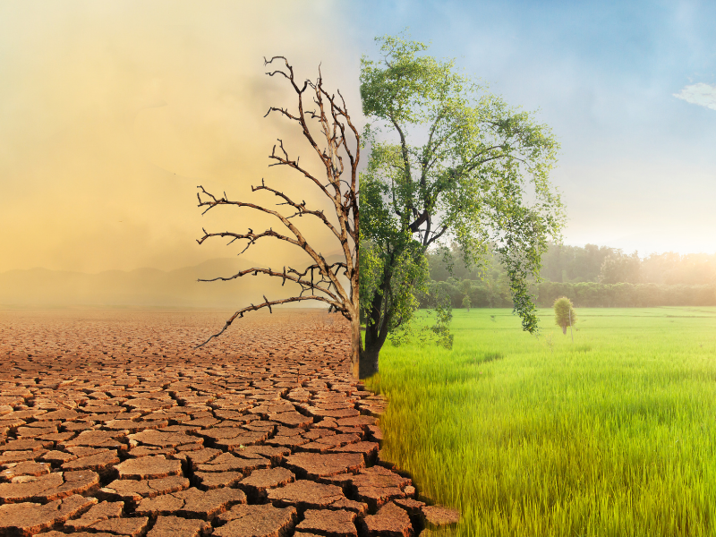 Clima Clima