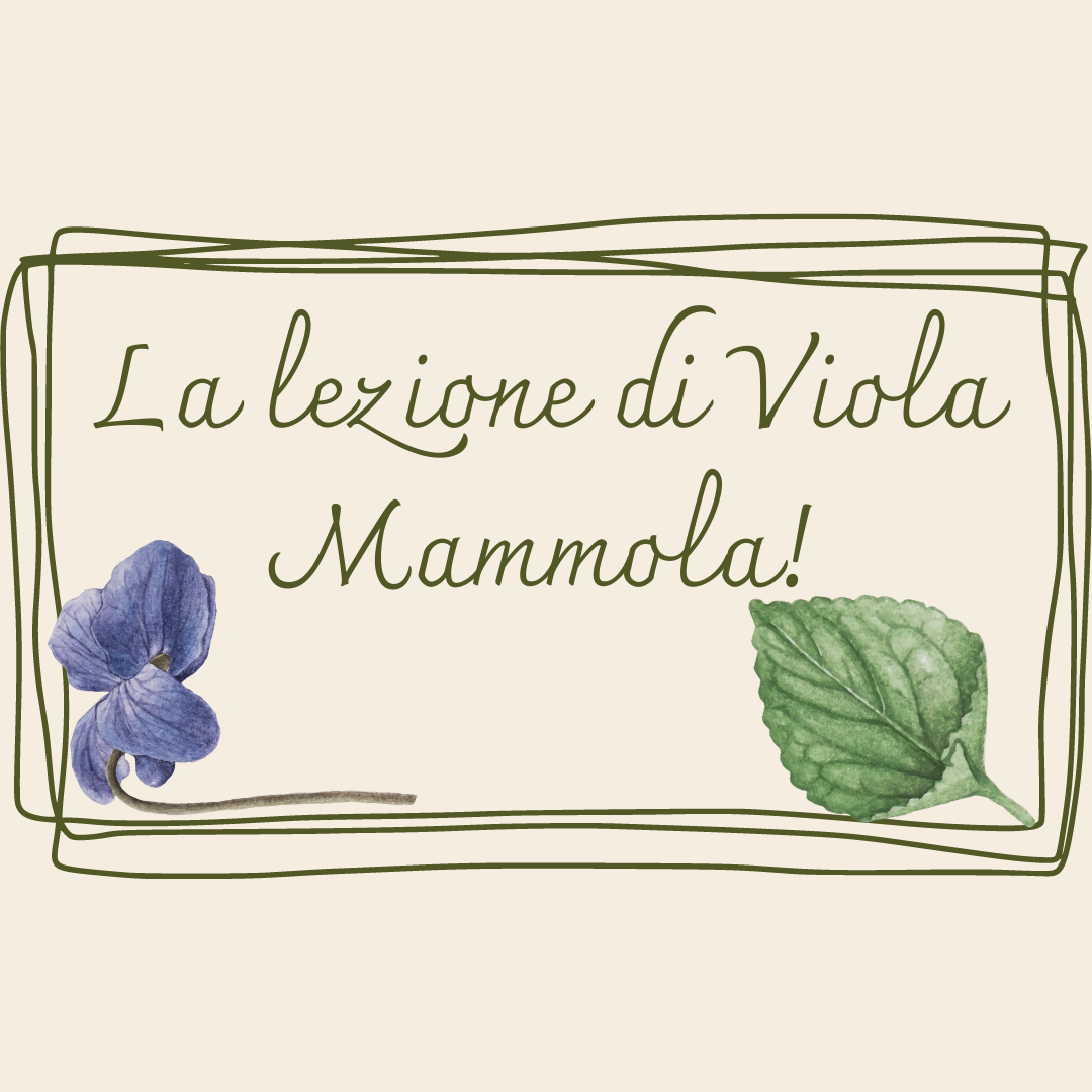 La lezione di Viola Mammola!