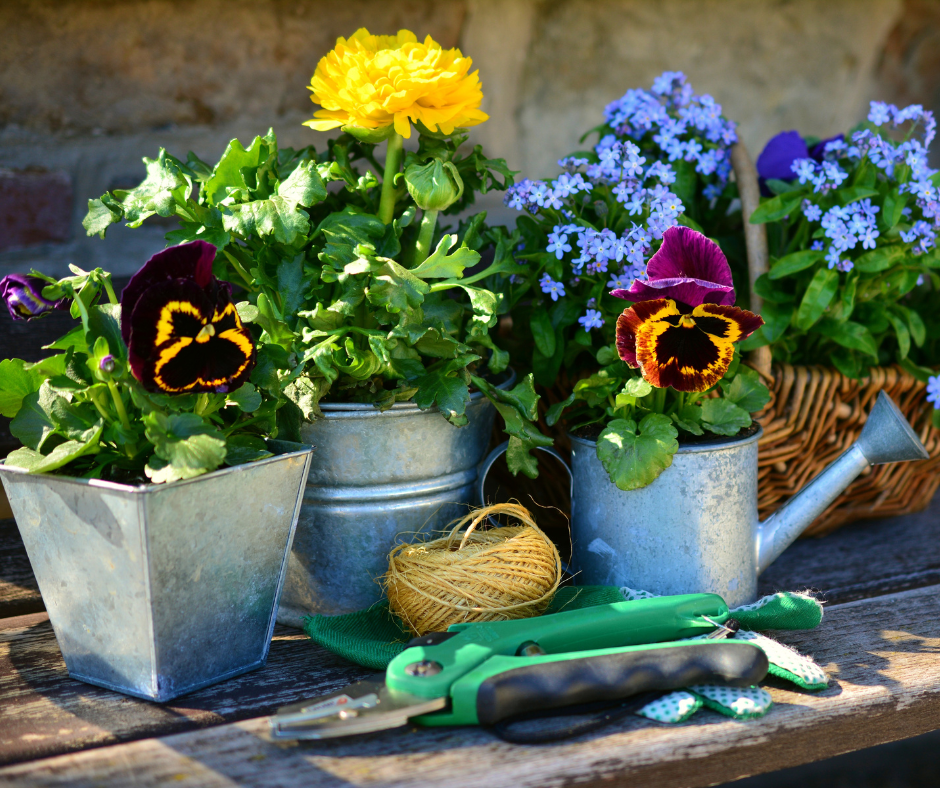 “Gioie e benefici del giardinaggio: un’attività che nutre mente, corpo e spirito”
