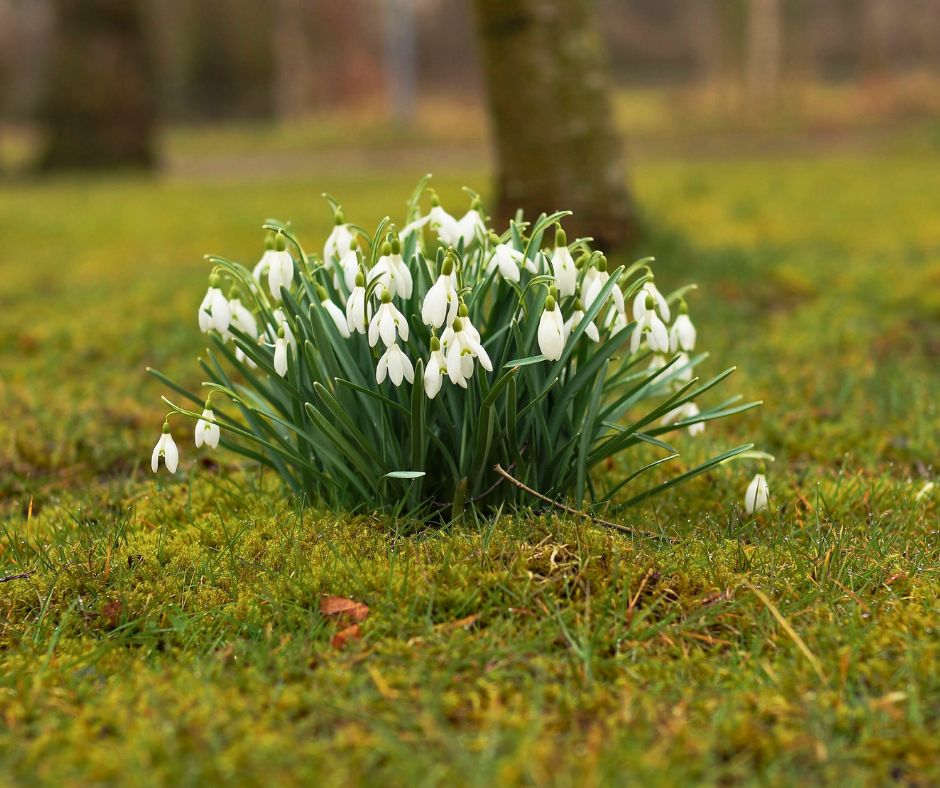 Benvenuta Primavera: Marzo tra Pioggia e Sole