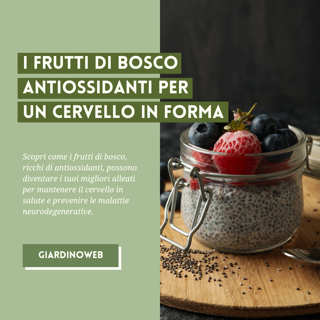 Frutti di Bosco: Antiossidanti per un Cervello in Forma